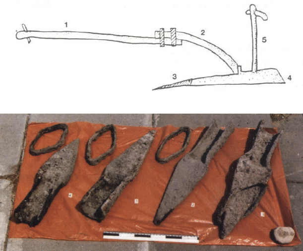 איור 7ב-ג. יתד של מחרשה. מלמעלה (7ב) שחזור המחרשה, מתוך פליקס, חקלאות, עמ' 66. מס' 3 הוא יתד המחרשה. מלמטה (7ג) מאגר יתדות שנתגלה בחפירה בשער העמקים, מתוך סגל ואחרים, שער העמקים, באדיבות המחברים.
